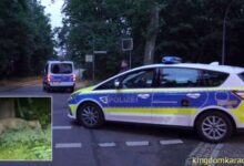 Löwin Berlin Polizei Video
