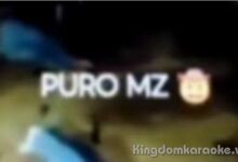 Puro MZ Lagos de Moreno Video el Reddit & Twitter