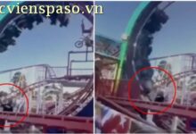 A video shared on social media appears to show the moment Ms Rodden climbed onto the tracks and was hit