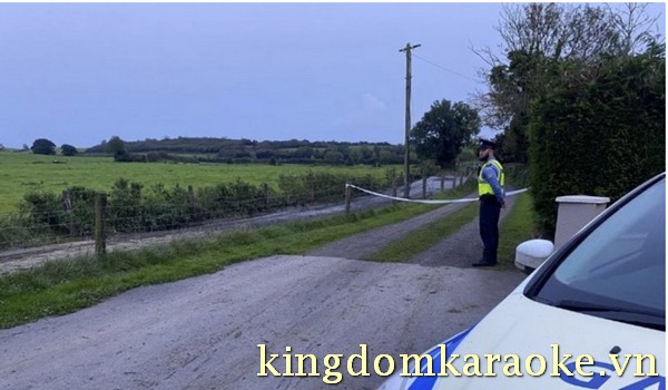 Tullamore video incident today