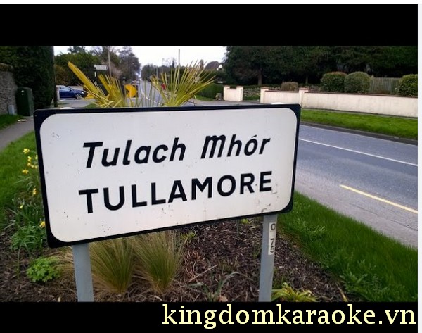 Tullamore video incident today
